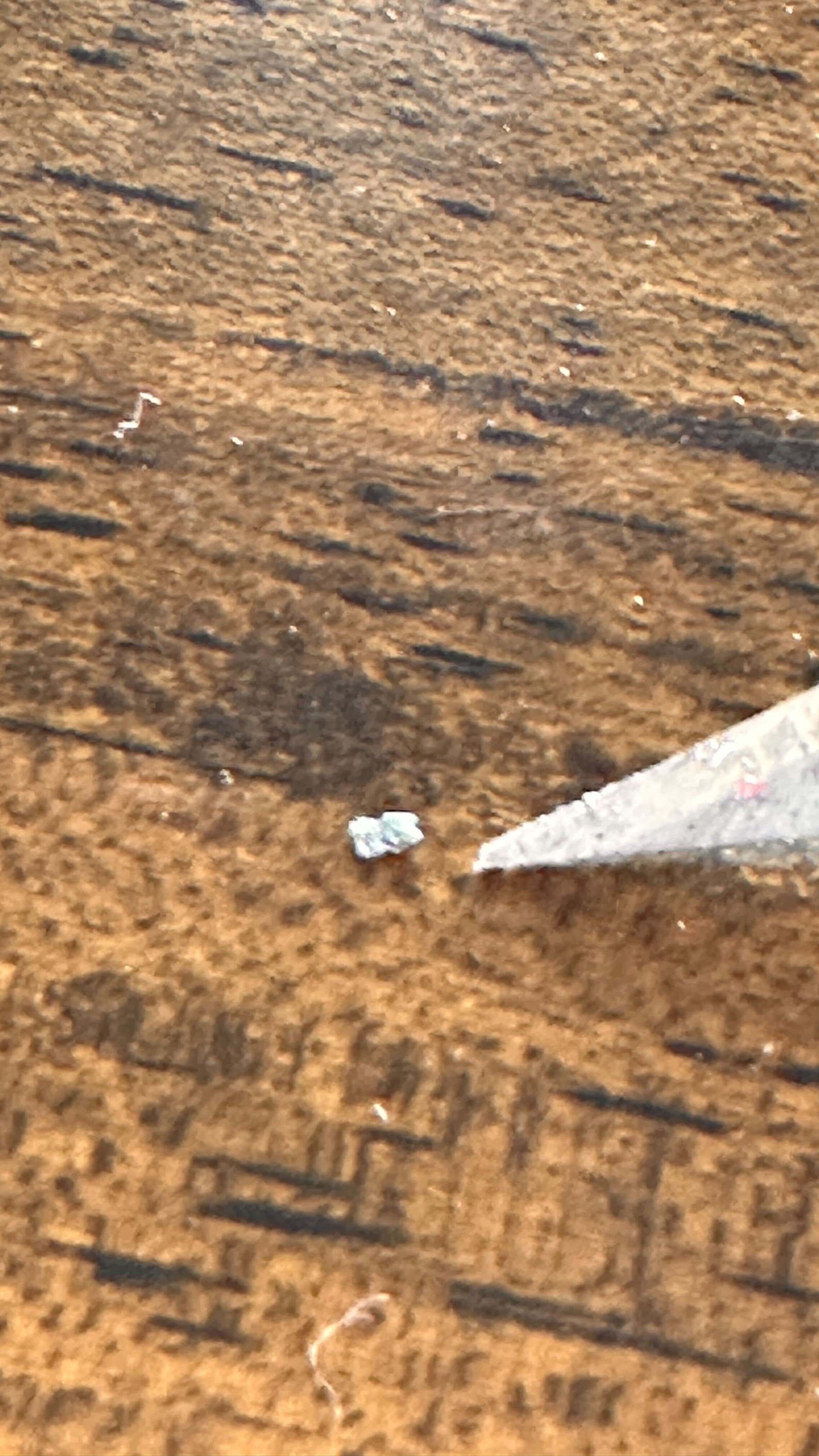 Plastic debris removed from the sensor, shown next to a knife tip for scale