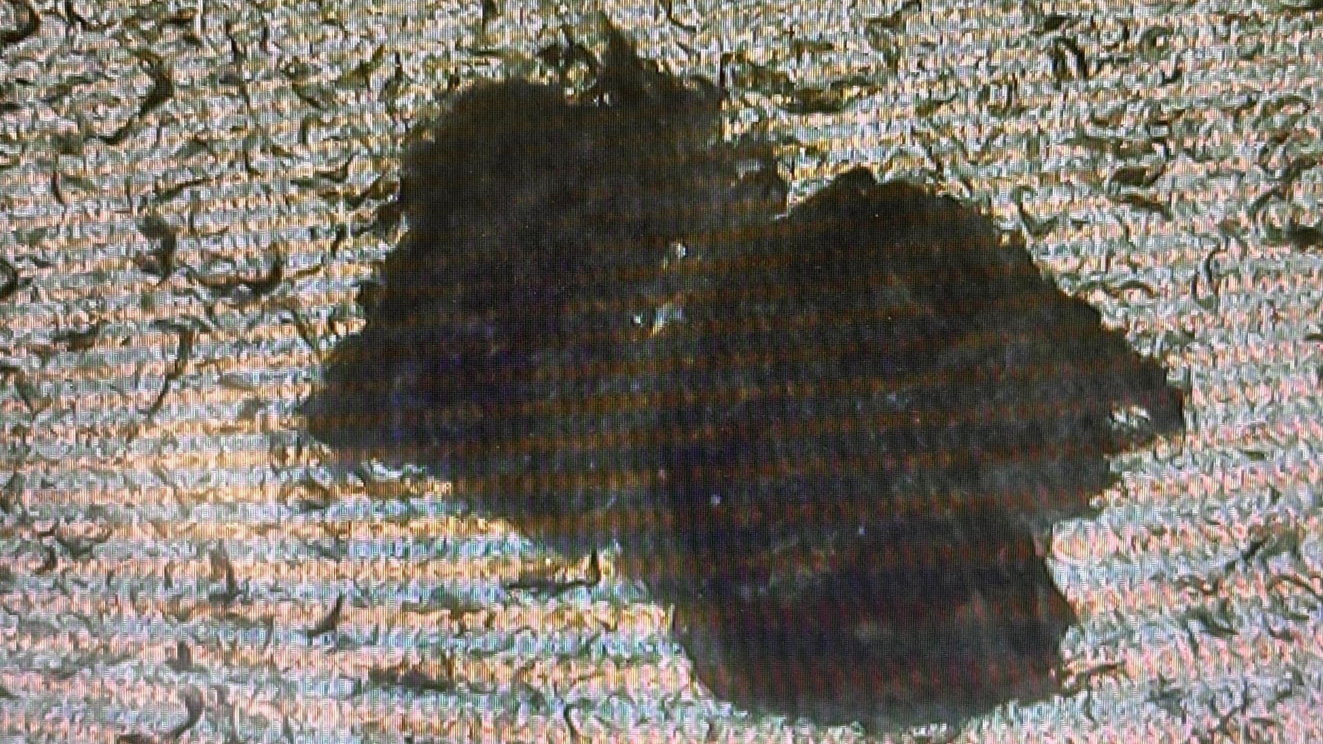 Magnified view of a plastic shard from the damaged wall